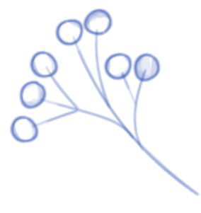 Shape Image